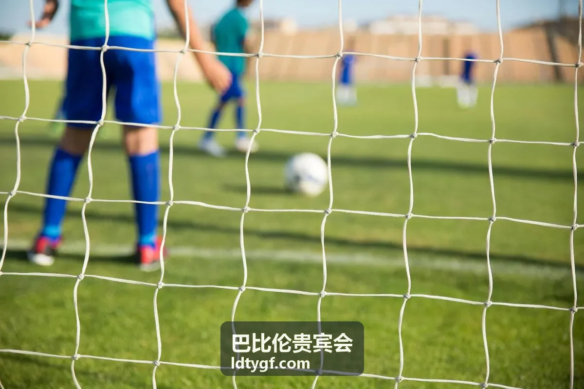 巴比伦贵宾会高端商务氛围背景